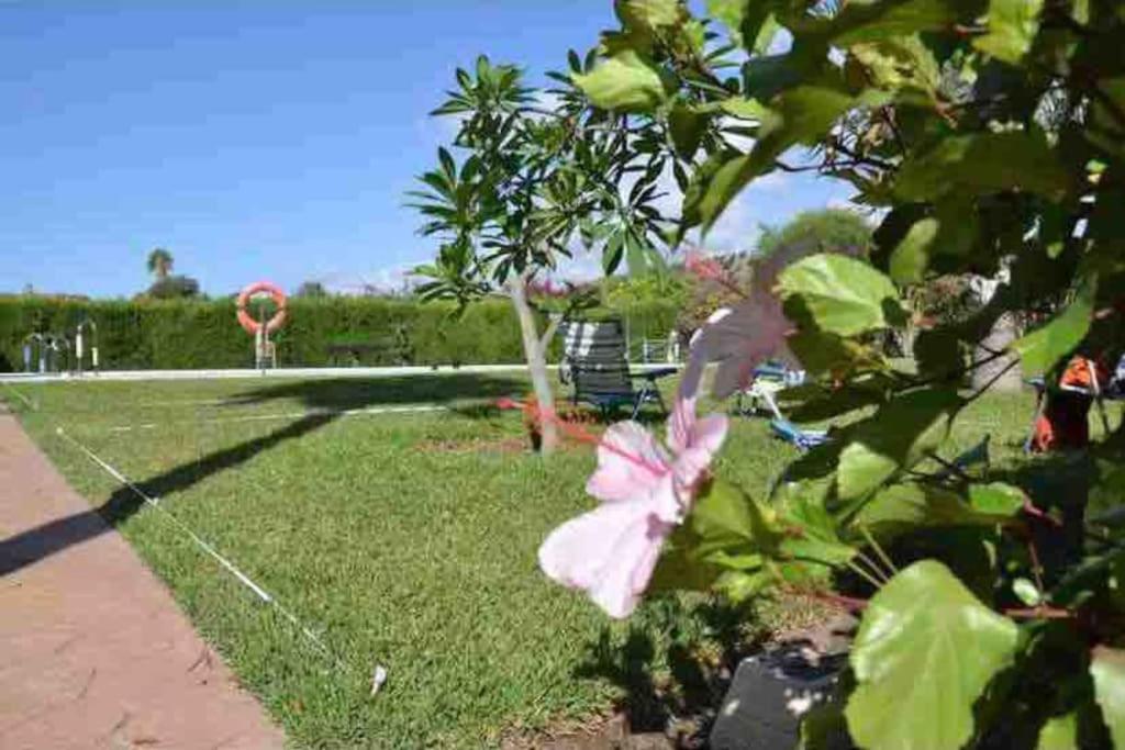Apartamento Sol, เบนาคาราเฟ ภายนอก รูปภาพ
